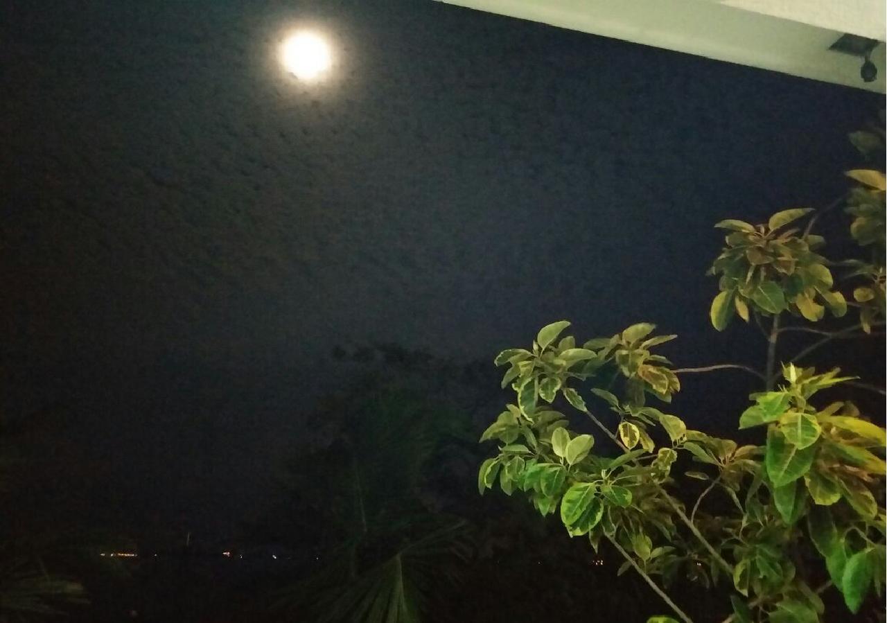 Negombo Holiday Home Buitenkant foto